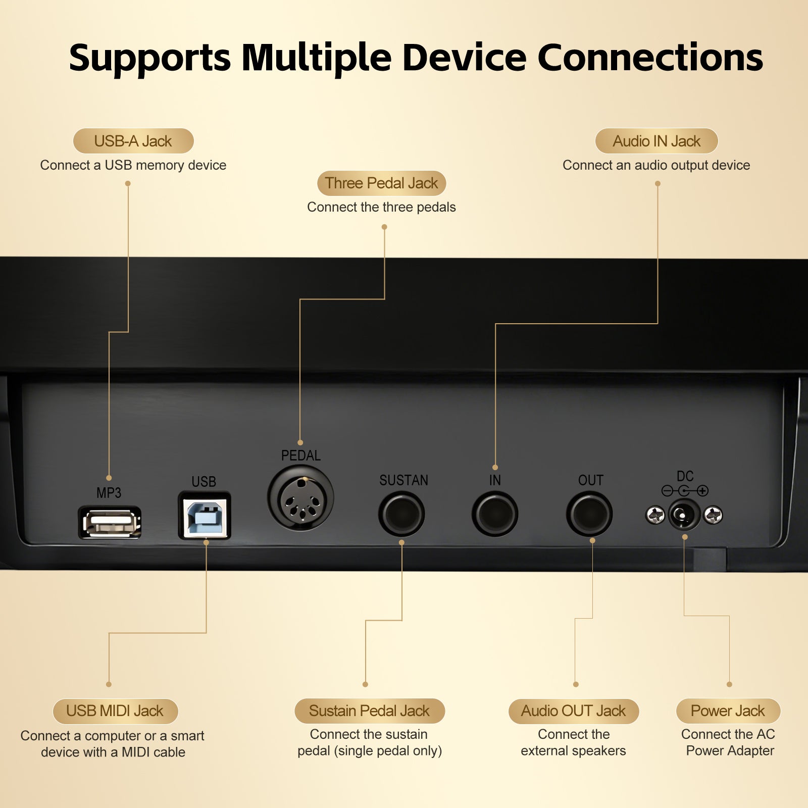GOLDRIFF digital piano rear panel with USB MIDI, sustain pedal jack, audio in/out and power adapter ports