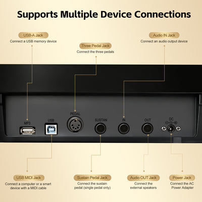 GOLDRIFF digital piano rear panel with USB MIDI, sustain pedal jack, audio in/out and power adapter ports