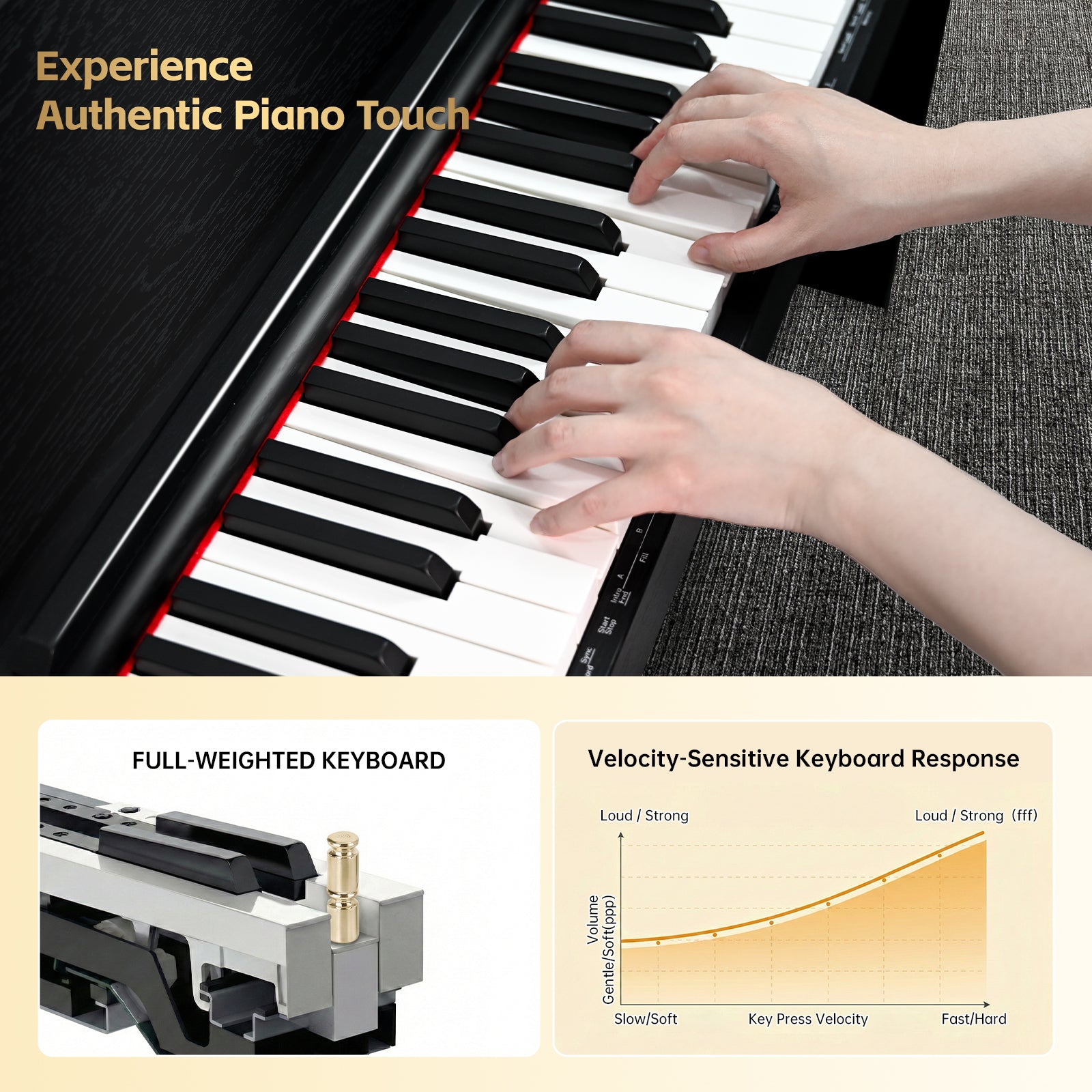 GOLDRIFF fully weighted keyboard with hammer action mechanism and velocity-sensitive key response for realistic piano touch