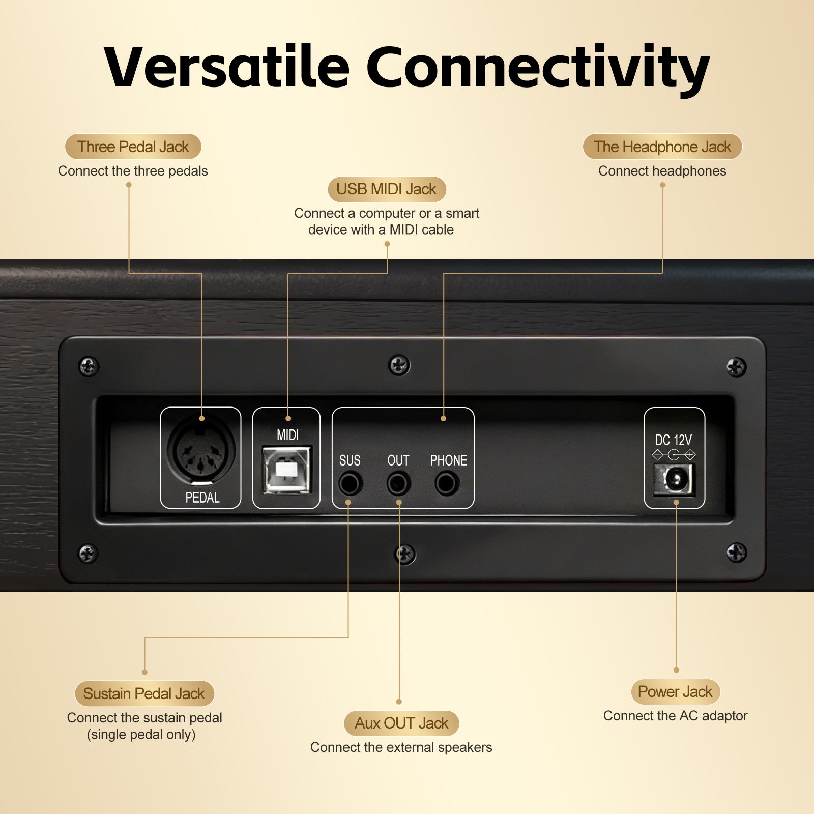 GOLDRIFF digital piano rear connectivity panel showing USB MIDI jack, headphone output, triple pedal and aux out ports