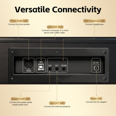 GOLDRIFF digital piano rear connectivity panel showing USB MIDI jack, headphone output, triple pedal and aux out ports